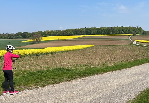 22-05-02 11-54-51 0711